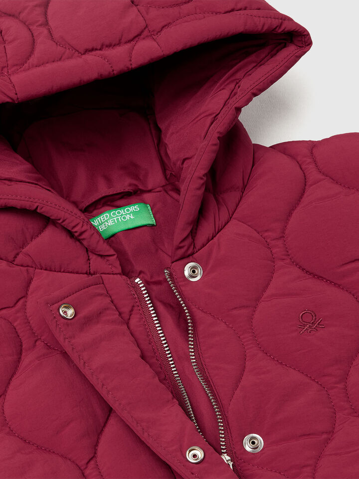 JACKET Junior Girl image number 3